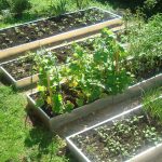 Оцинкованные грядки купить недорого, производитель 294 грядки