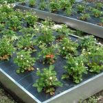 Оцинкованные грядки купить недорого, производитель 296 грядки