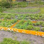 Оцинкованные грядки купить недорого, производитель 330 грядки