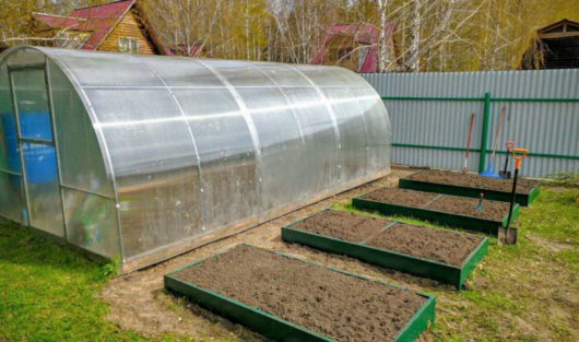 Наши работы 743