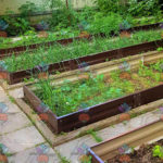 Оцинкованные грядки купить недорого, производитель 844 грядки