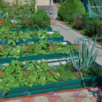 Оцинкованные грядки купить недорого, производитель 846 грядки